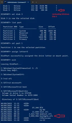 boot2.webp