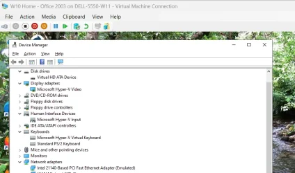 1783182356347.webp 1783182356347.webp