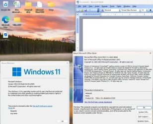 Office2003_Win11Pro.webp