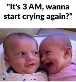 Babies.webp