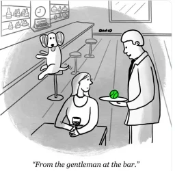 Joke_ 7.webp