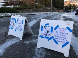 Ice Ice Baby.webp