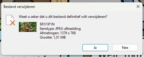 1784015872516.webp