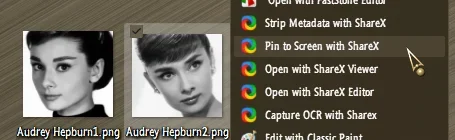 13137.webp 13137.webp