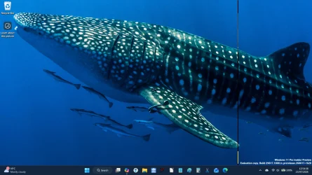 Screenshot 2026-07-23 125441.webp