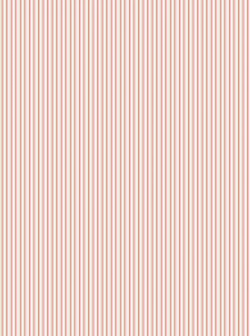 GRAFICO 2.webp