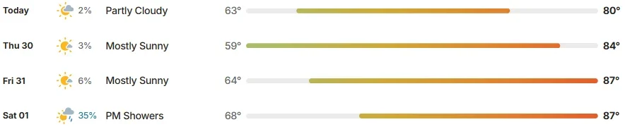 2.webp 2.webp
