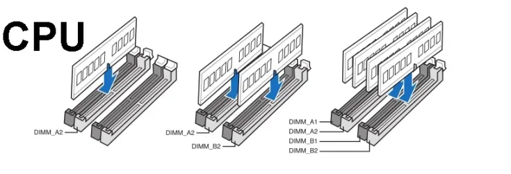 Image1.webp