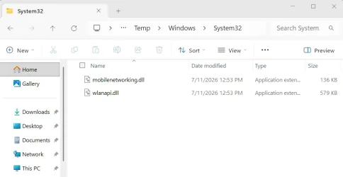 Extracted DLLs.webp Extracted DLLs.webp