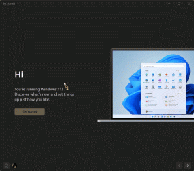 13228.gif