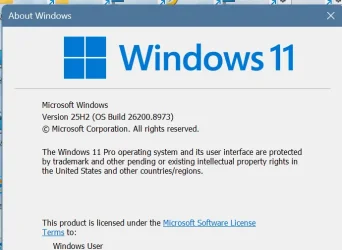 1785991933787.webp 1785991933787.webp