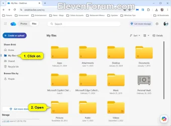 OneDrive_album-1.webp