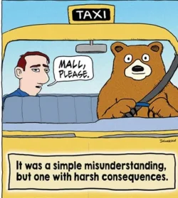 bear-cab-driver-mall-maul-misunderstanding.webp