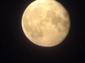 moon.webp moon.webp
