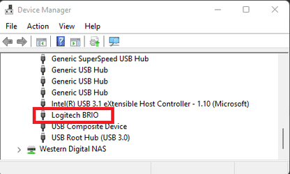 Logitech brio 4k 2025 ubuntu