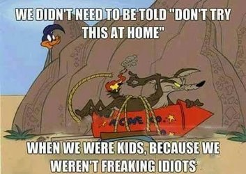 Not Idiots.jpg