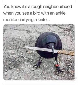 tough neighbourhood.jpeg