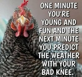Predict weather.jpeg