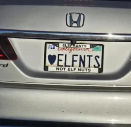 Meme - not elf nuts.webp Meme - not elf nuts.webp