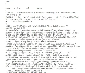 Image1.webp