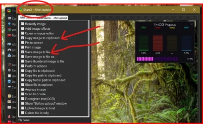 ShareX Capture Settings.webp