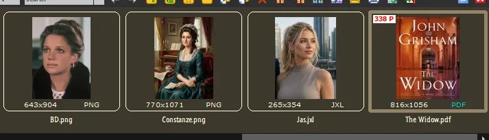 13846.webp