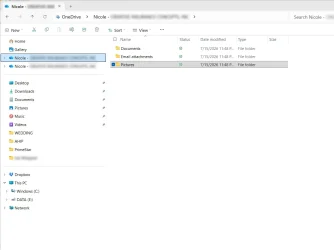 Nicole File Explorer Window.webp
