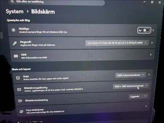 profile shows up.webp