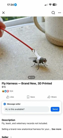 weird-facebook-marketplace-finds-8-28-26-10-768x1668.webp