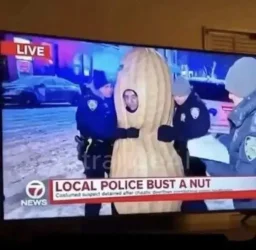 Bust-a-nut.webp