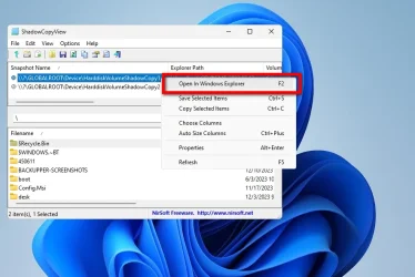 shadowcopyview-1.webp