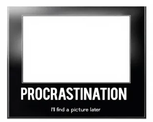 23.webp