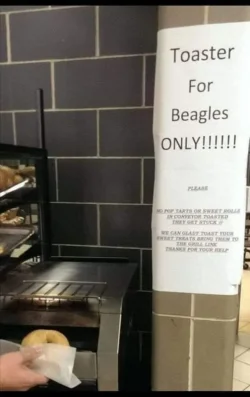 toaster-for-baegals.webp