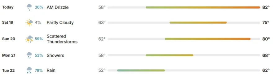 2.webp