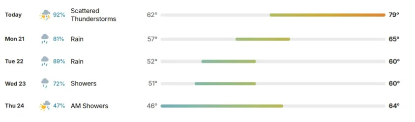 3.webp 3.webp