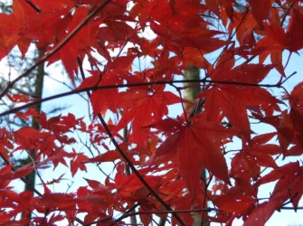1789945579331.webp