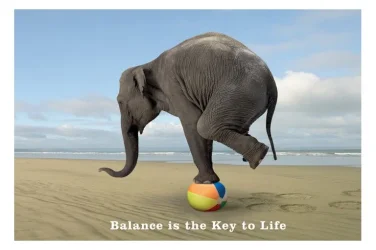 elephant.webp
