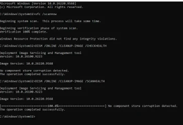 1790390642035.webp 1790390642035.webp