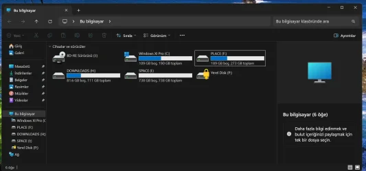 BUG.webp