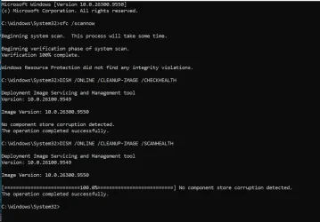 1790709505975.webp 1790709505975.webp