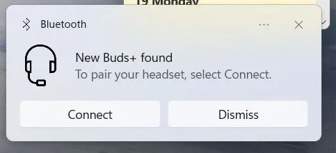pair1.webp pair1.webp