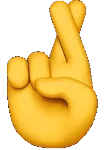 Image2.webp Image2.webp