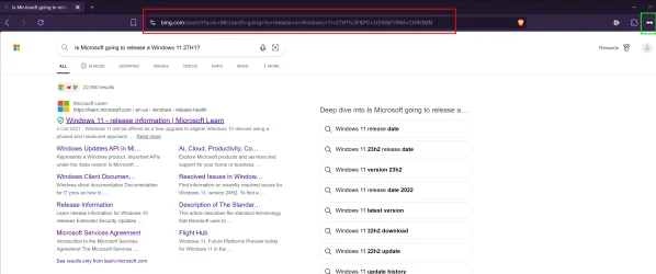 Brave Search Private Window.webp