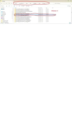 Windows-11.webp