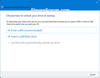 Choose_how_to_unlock_your_drive_at_startup-2.png
