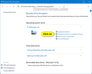 Choose_how_to_unlock_your_drive_at_startup-1.png