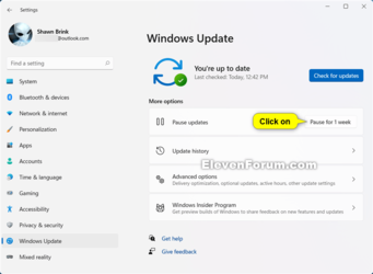 Pause_updates_Windows11_Insider.png