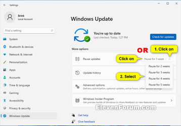Pause_updates_Windows11-1.png