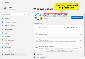 Pause_updates_Windows11-3.png