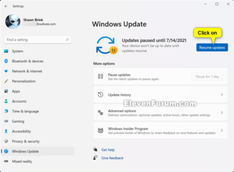 Resume_updates_Windows11.png